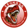 自贡队 自贡队